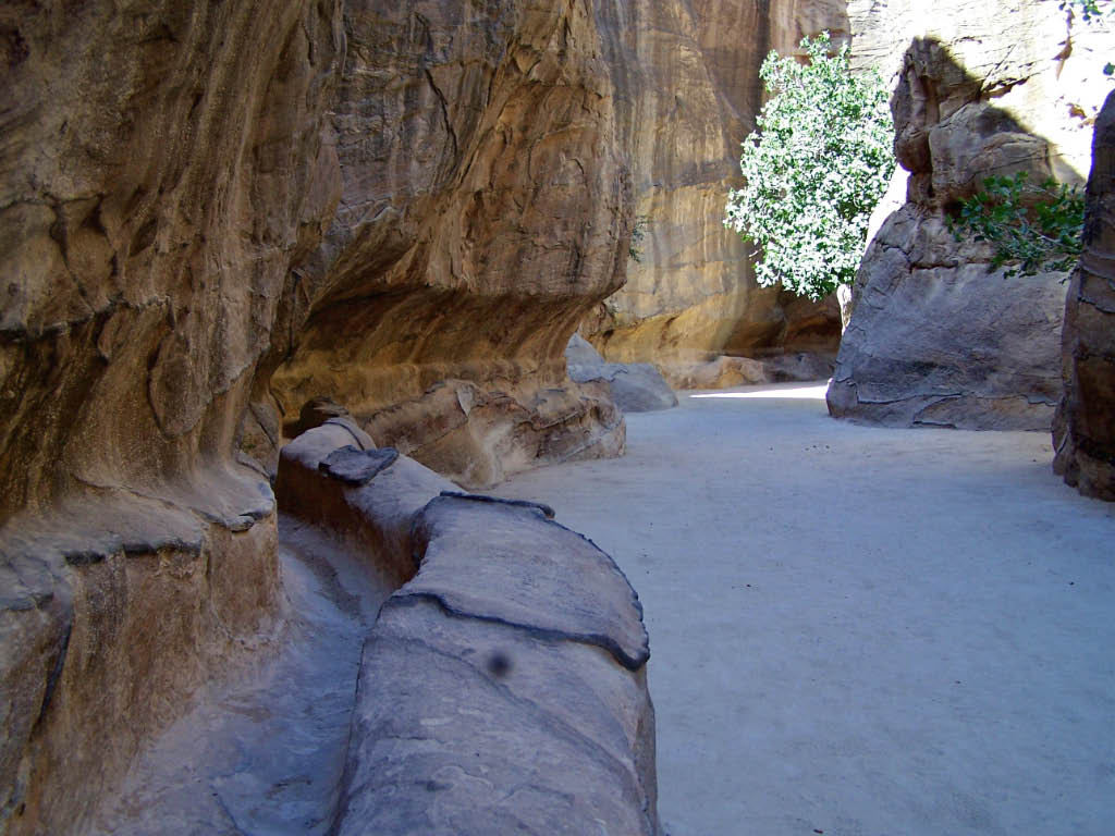 The Petra Memory Archive Opens for Visitor Stories